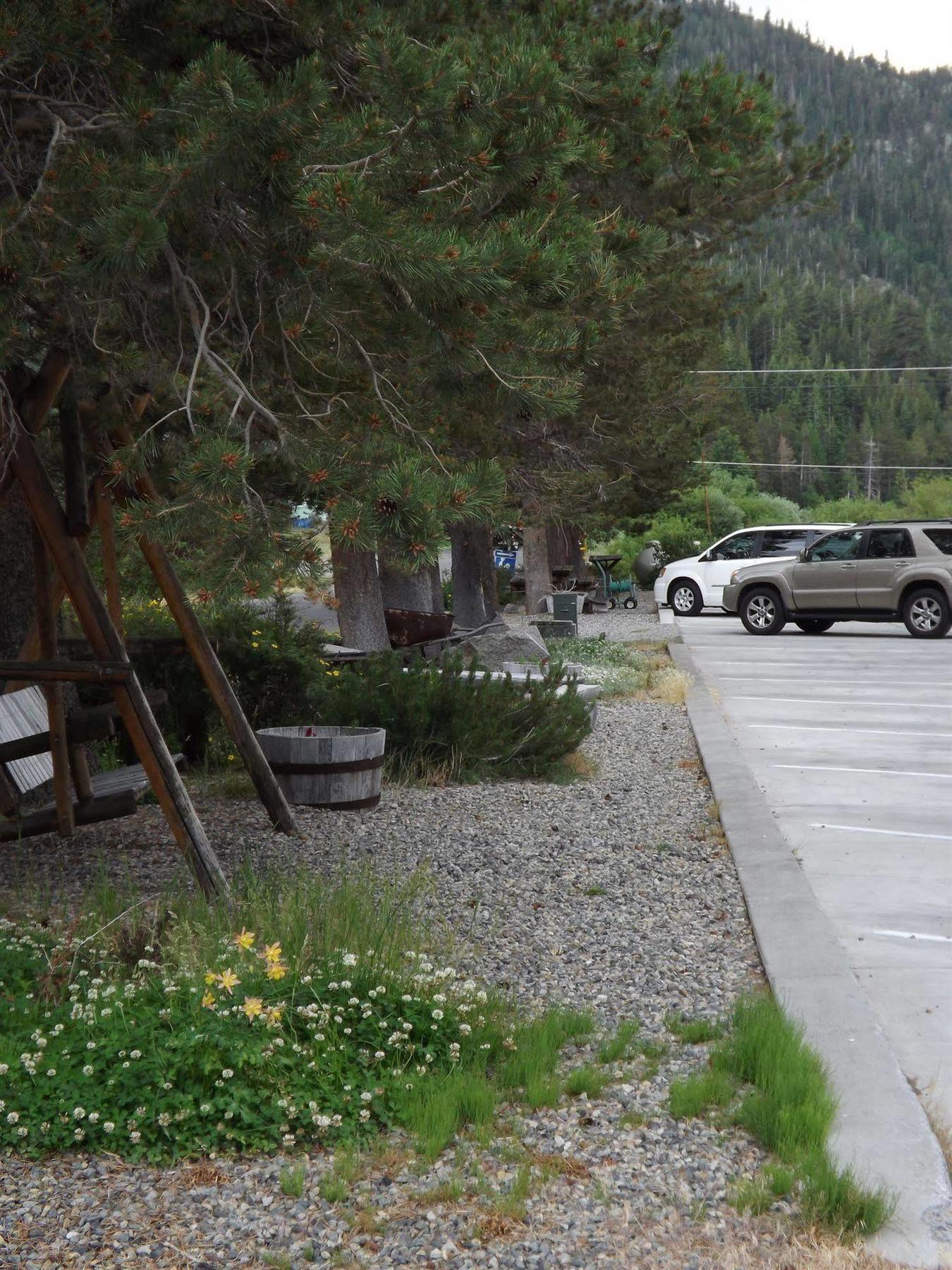 Motel Gull June Lake